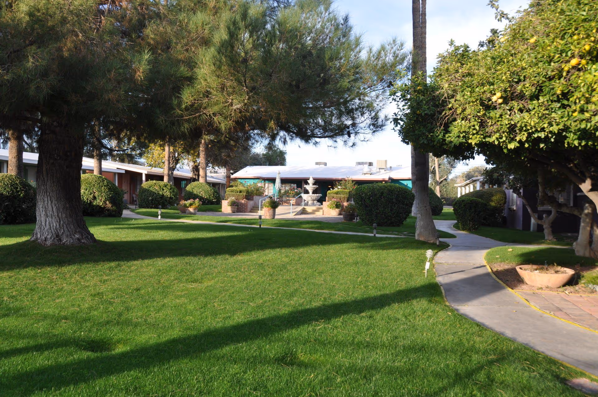 A well-maintained outdoor garden area at The Oasis Assisted Living Community featuring lush green grass, large trees, trimmed bushes, a paved walkway, and a central water fountain in front of a low building under a clear sky.