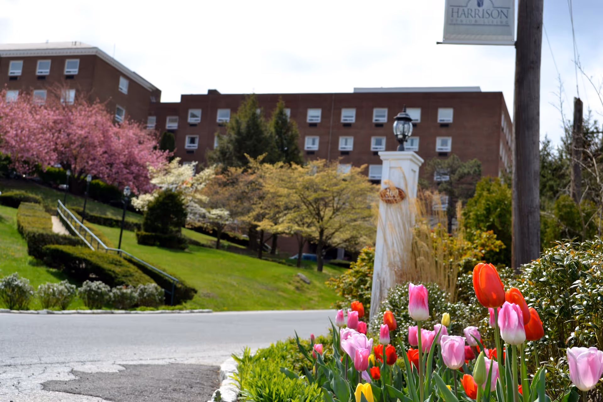 Colorful tulips and landscaped grounds lead up to a brick senior living building with a lamp-posted entrance and blossoming trees.