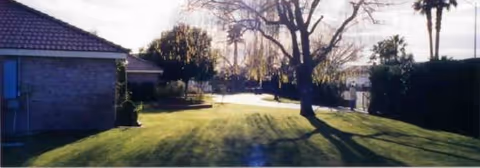 Sunlit, well-kept outdoor yard with trees beside a brick facility building.