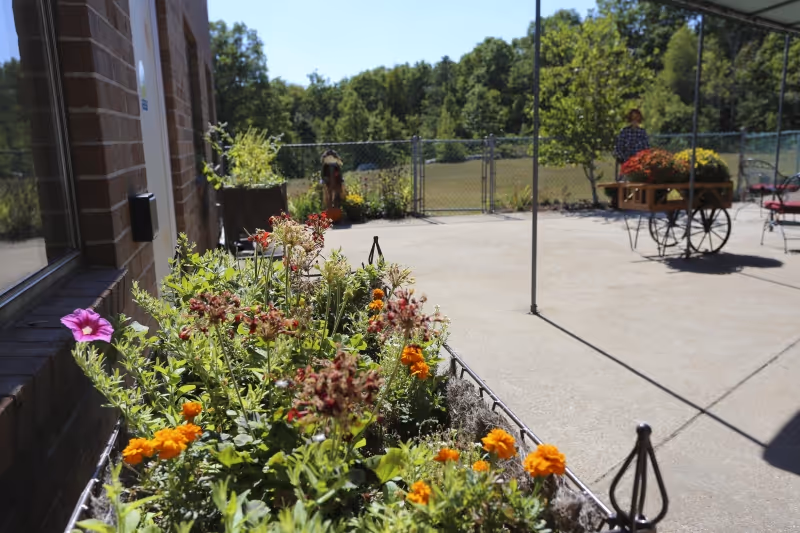 Outdoor patio area with a flower bed in the foreground containing various colorful flowers. In the background, a person stands near a wooden cart filled with potted plants and flowers. The area is paved and fenced, with trees and greenery visible beyond the fence under a clear blue sky.