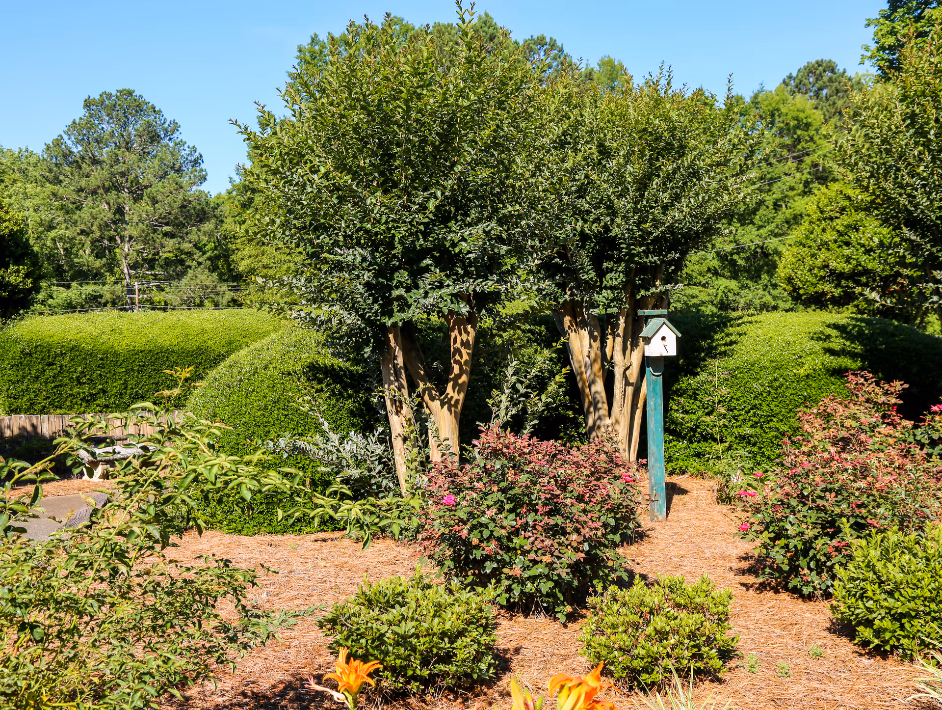 Well-maintained garden with trimmed shrubs, flowering bushes, trees, and a birdhouse on a post under a clear blue sky.
