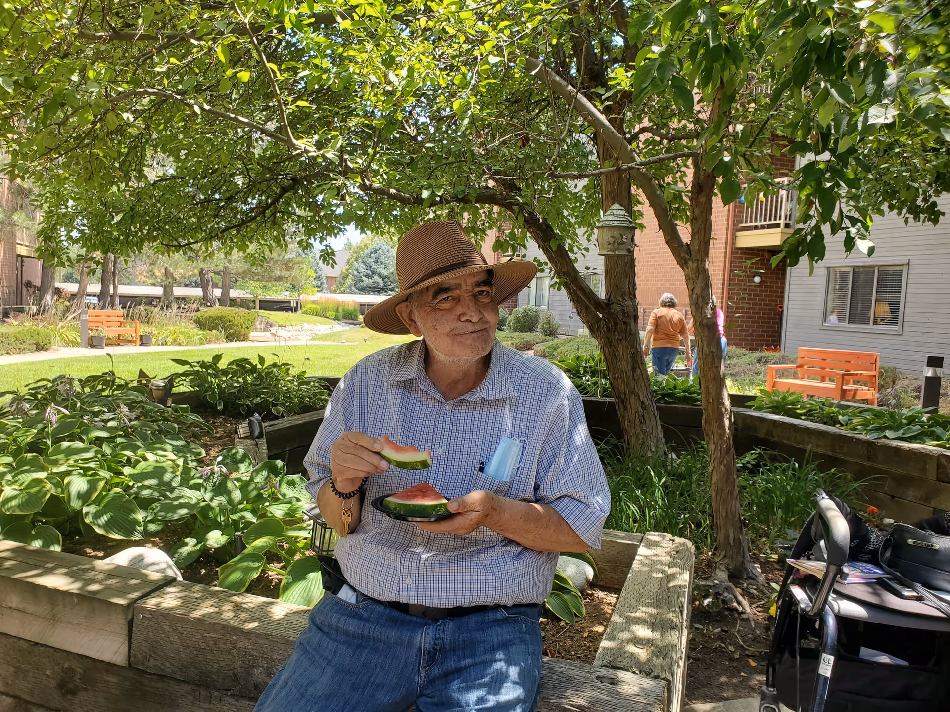 An elderly man wearing a hat and a checkered shirt sits on a wooden bench in a garden area, eating slices of watermelon. The garden has green plants, trees, and orange benches, with a building visible in the background. Another person is walking away in the background.