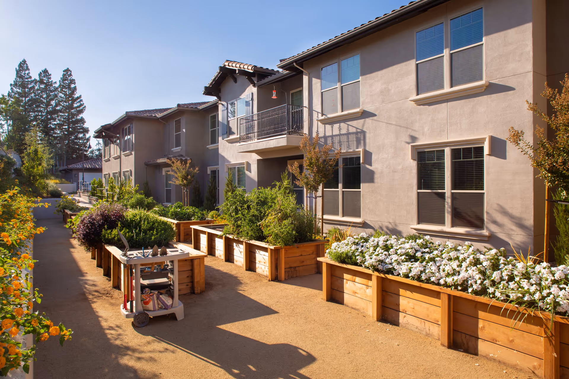 Outdoor garden area with raised wooden planter boxes filled with various plants and flowers alongside a beige two-story building with multiple windows and balconies under a clear blue sky.