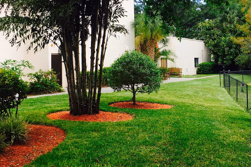 A well-maintained outdoor garden area with green grass, several small trees, and bushes surrounded by red mulch. There is a beige building in the background with a pathway and a wooden bench near the building. A black chain-link fence runs along the right side of the grassy area.