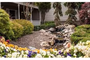 Landscaped outdoor courtyard with a small rock-lined pond and waterfall surrounded by flowering plants and shrubs in front of a building.