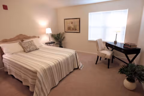 Sunlit bedroom with a striped-bedspread double bed, bedside table and lamp, desk and chair by a window, and potted plants.