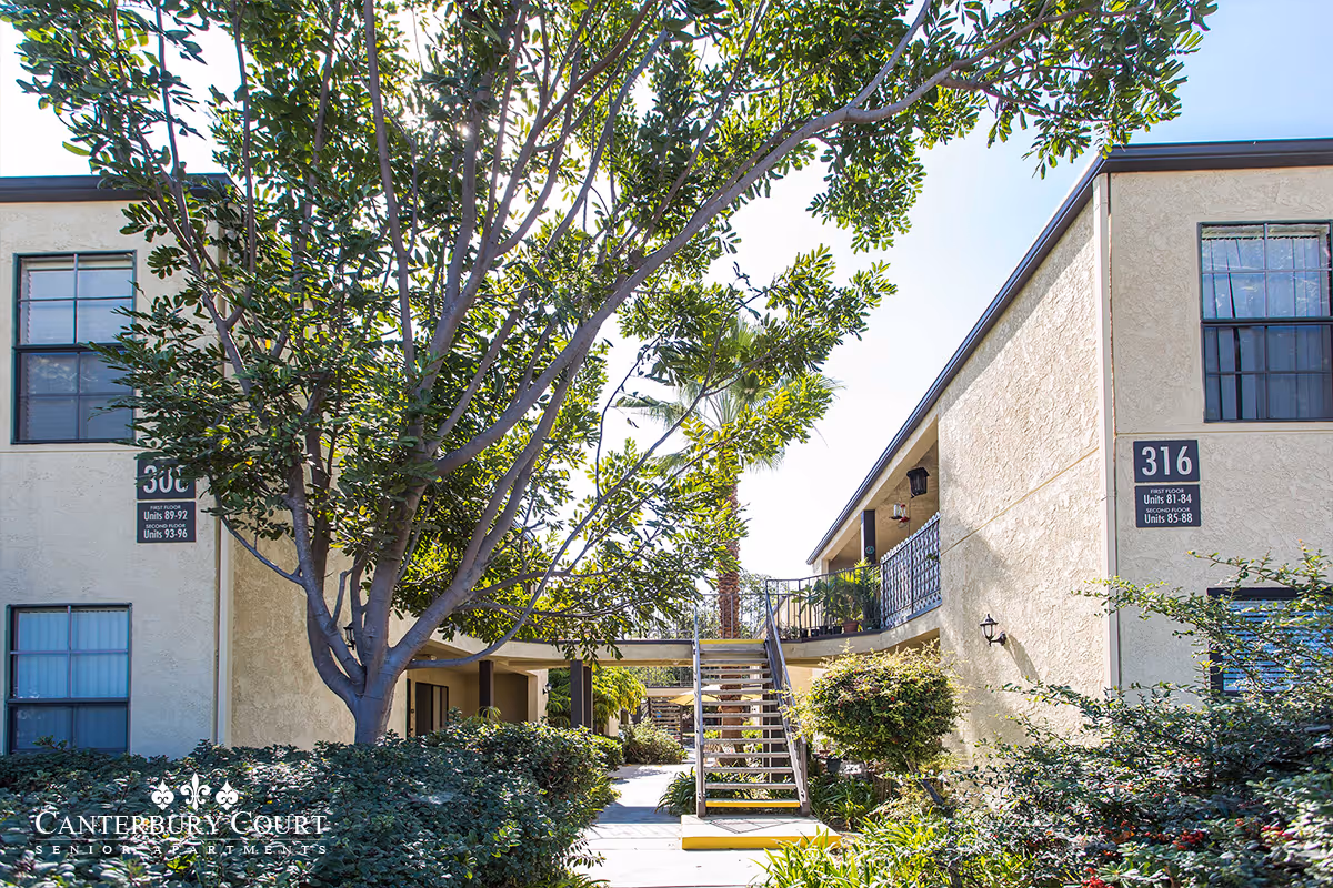 Outdoor view of Canterbury Court Senior Apartments showing two beige buildings with black window frames, a central staircase, and lush green trees and bushes under a clear blue sky.