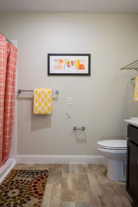 A bathroom with a white toilet, a dark wood vanity, a colorful patterned rug on the floor, a red and white patterned shower curtain, and a yellow towel hanging on a towel rack. A framed artwork with colorful abstract designs is mounted on the light-colored wall above the towel rack.