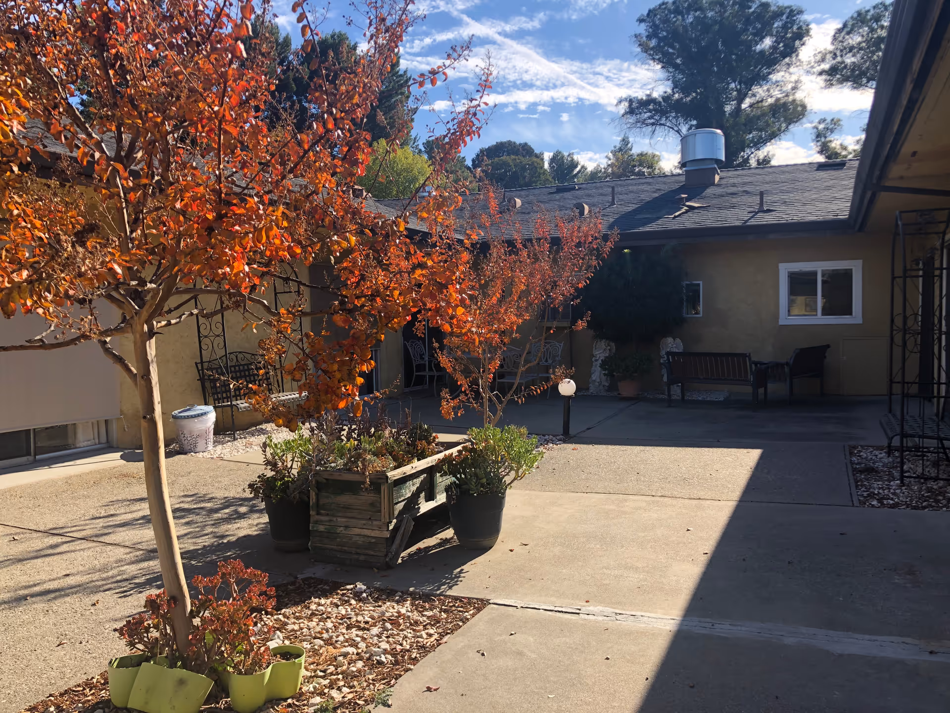 Outdoor courtyard area with autumn-colored trees and potted plants. There are benches and chairs along the building walls under a clear blue sky with some clouds. The building has beige walls and a dark roof.