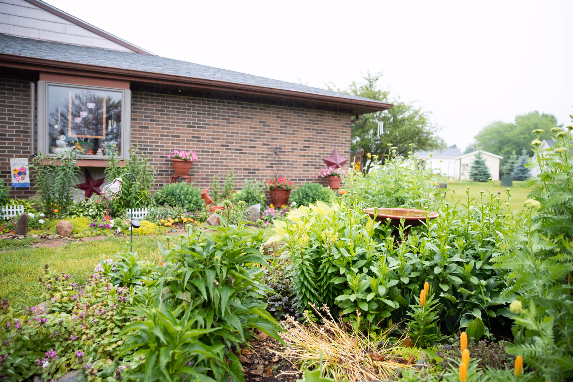 A lush garden with various green plants and flowers in front of a brick building. The garden includes potted plants, decorative items like a red star and a birdbath, and a window with flower decorations. The background shows a grassy area with trees and other buildings.