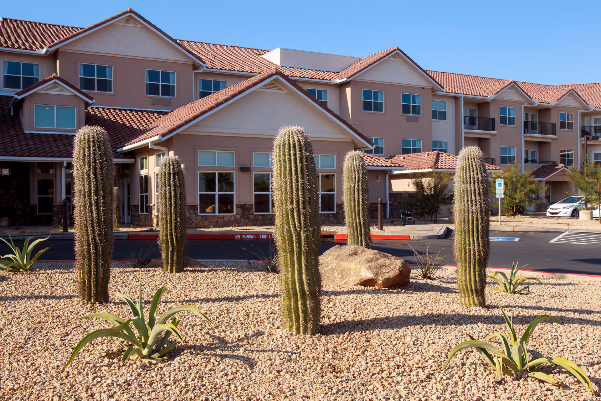 Exterior view of a multi-story retirement living facility with a desert landscape featuring several tall cacti and small plants in the foreground under a clear blue sky.