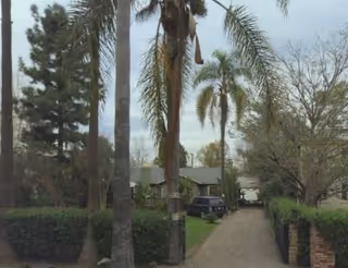 A driveway lined with palm trees and bushes leading to a single-story house with a gray roof. There is a black vehicle parked near the house, and the sky is overcast.