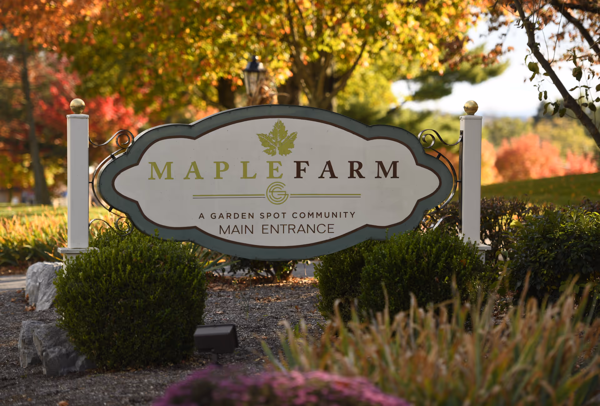 Entrance sign reading "Maple Farm" surrounded by autumn trees and landscaping.