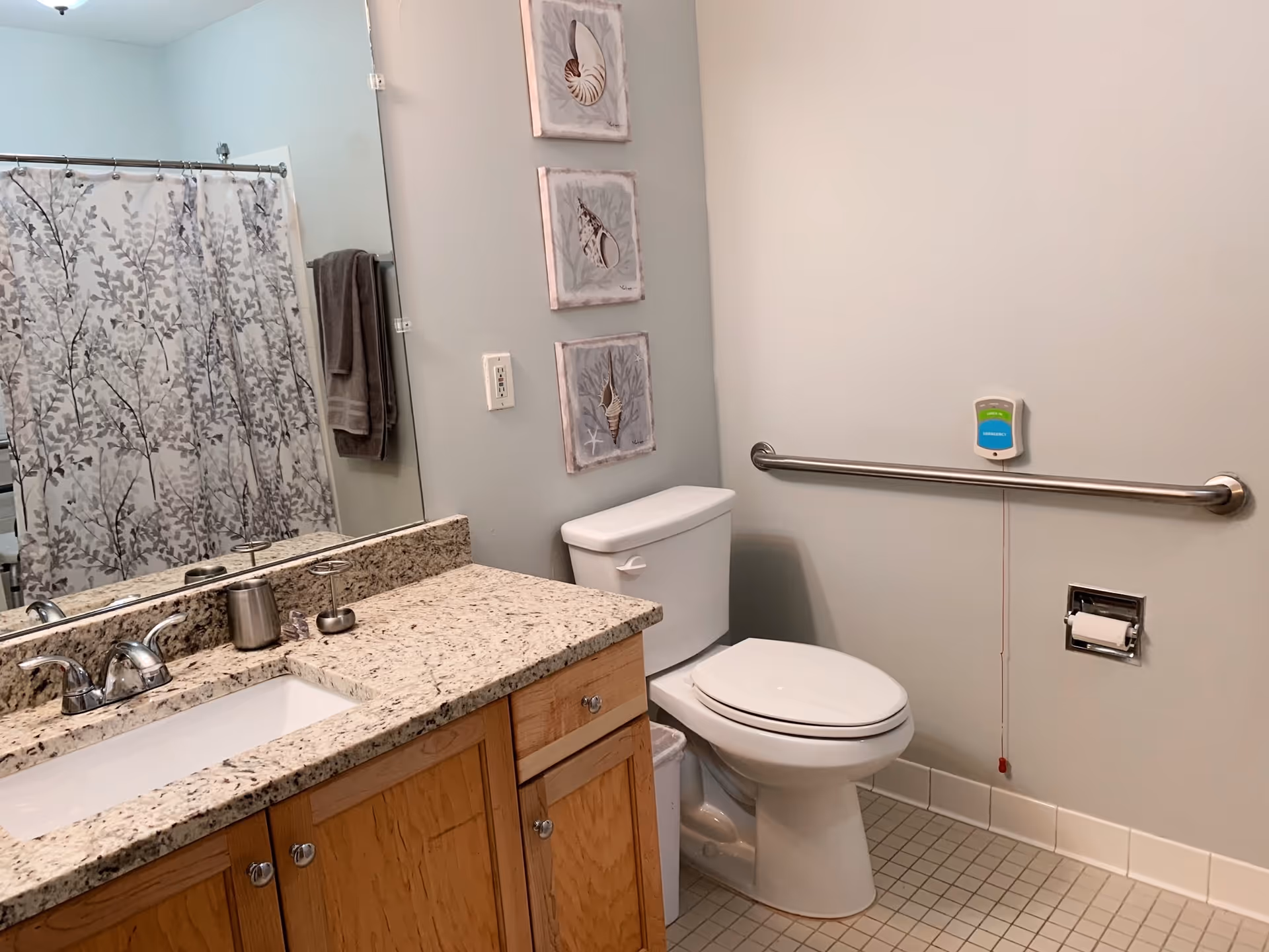 A clean bathroom with a granite countertop and wooden cabinets, a white sink with a silver faucet, a toilet with a grab bar on the wall beside it, a shower curtain with a leafy pattern, and three framed seashell pictures on the wall.