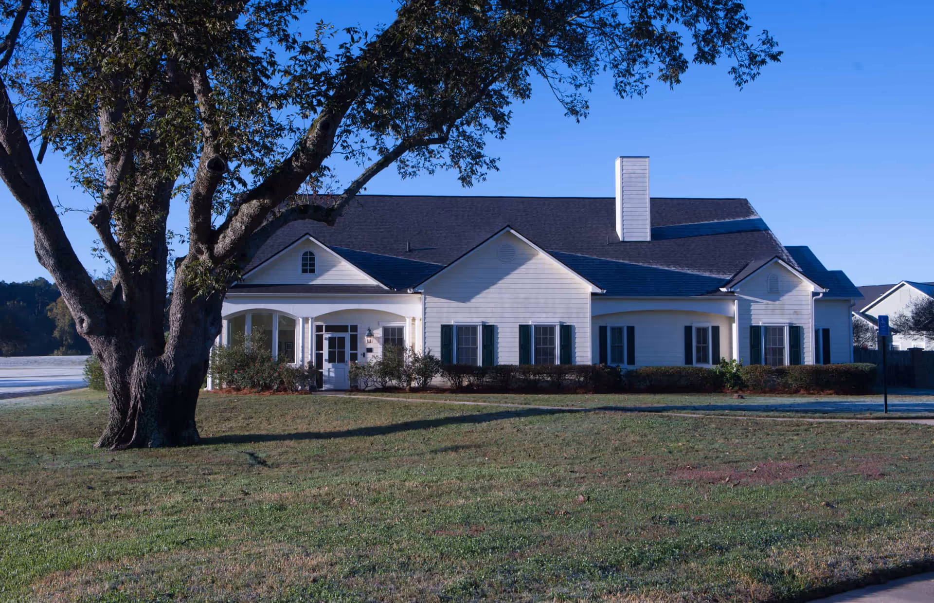 Front exterior of a single-story white apartment building with a large tree and grassy lawn in the foreground.