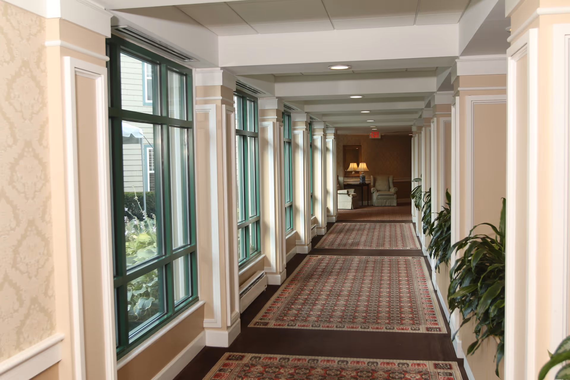 A long, well-lit hallway with large windows on the left side and decorative plants on the right. The floor is covered with patterned carpets, and at the end of the hallway, there are two armchairs and a table with a lamp.