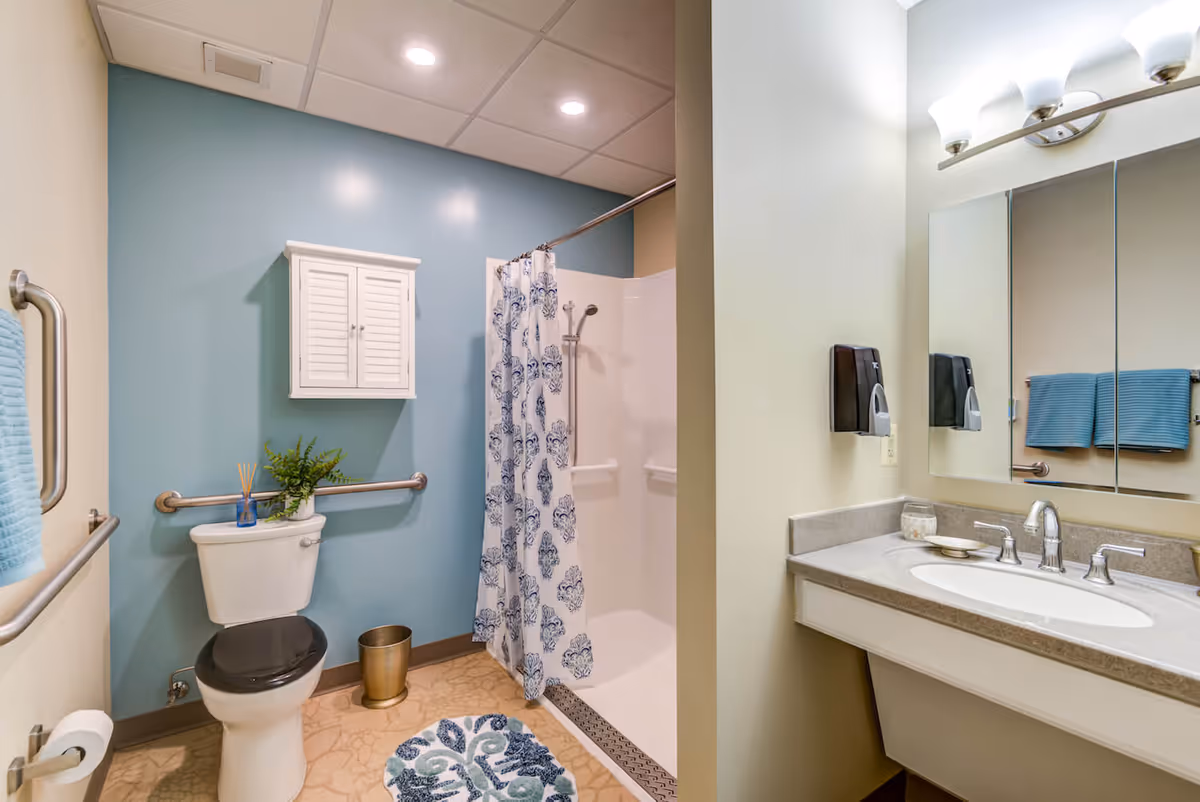 Accessible bathroom with a toilet and grab bars, a walk-in shower with patterned curtain, and a sink vanity with mirror.
