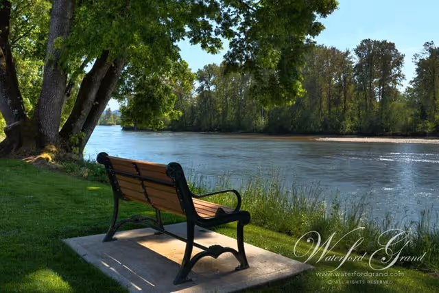 A wooden bench with black metal armrests and legs sits on a concrete slab beside a calm river, surrounded by green grass and large trees under a clear blue sky.