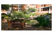 A wooden bench facing a small pond surrounded by greenery and plants in an outdoor garden area of a multi-story building.