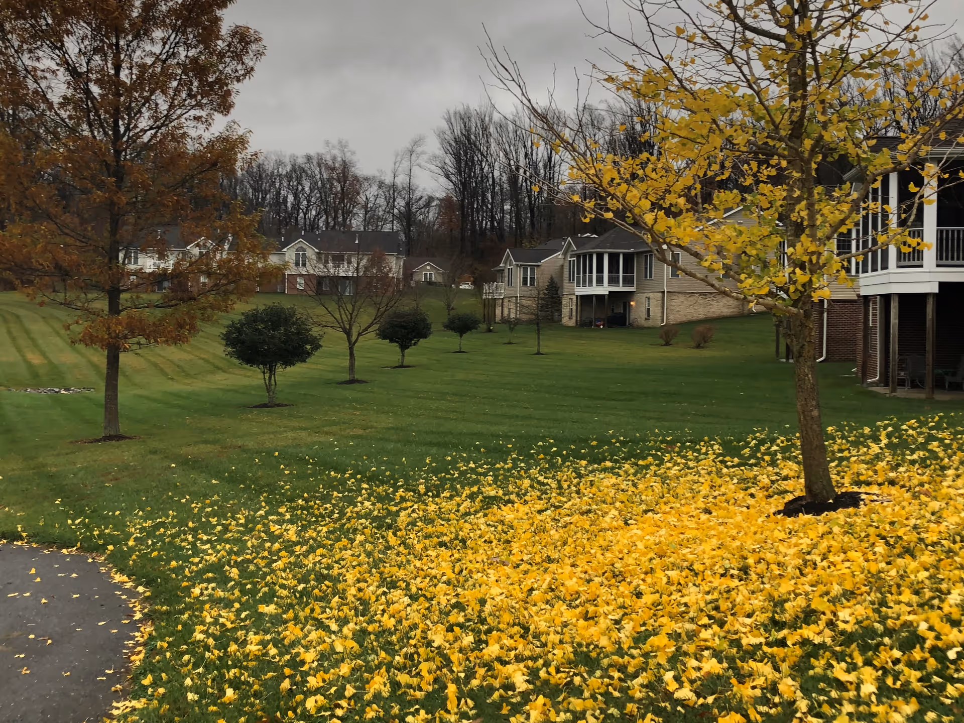 A grassy outdoor area at Brooke Grove Retirement Village with several trees, some with yellow autumn leaves scattered on the ground. Residential buildings with screened porches are visible in the background under a cloudy sky.