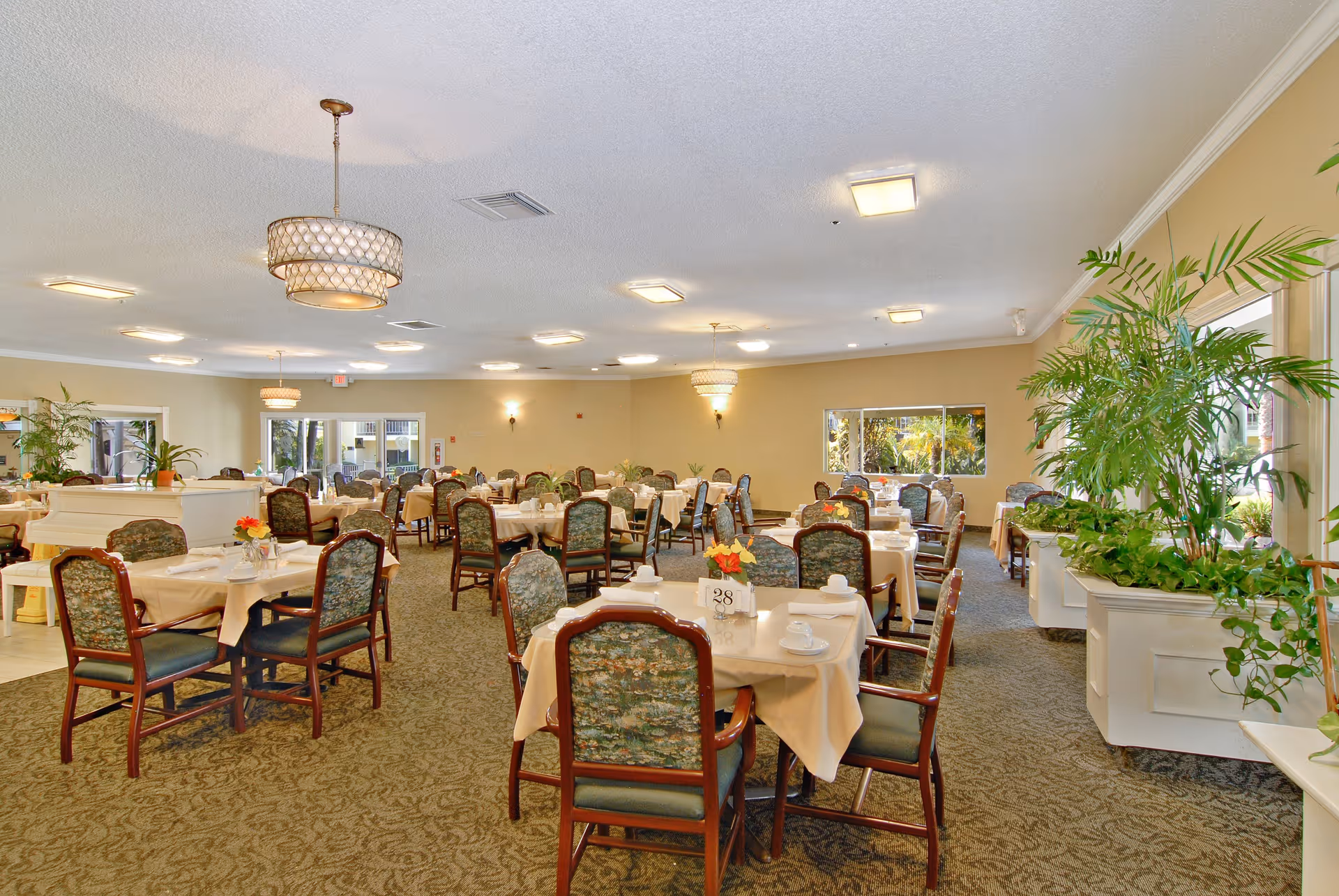 A spacious dining room in a senior living facility with multiple tables covered in beige tablecloths, each set with white cups and saucers. The room features patterned carpet, upholstered wooden chairs, large windows allowing natural light, and several green plants along the right side. Decorative ceiling lights and wall sconces illuminate the space.
