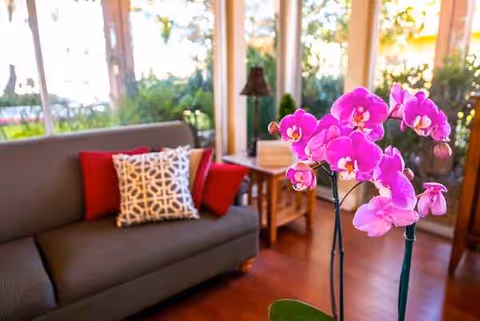 Bright senior living room with sofa, patterned cushions, and pink orchids in foreground.