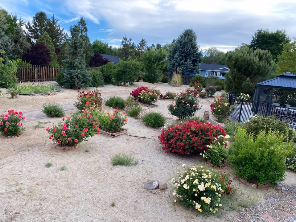 A garden area with various flowering bushes and shrubs, including red, pink, and white flowers. There are trees and greenery in the background, a wooden fence on the left side, and a gazebo with a metal roof on the right side. The sky is partly cloudy.