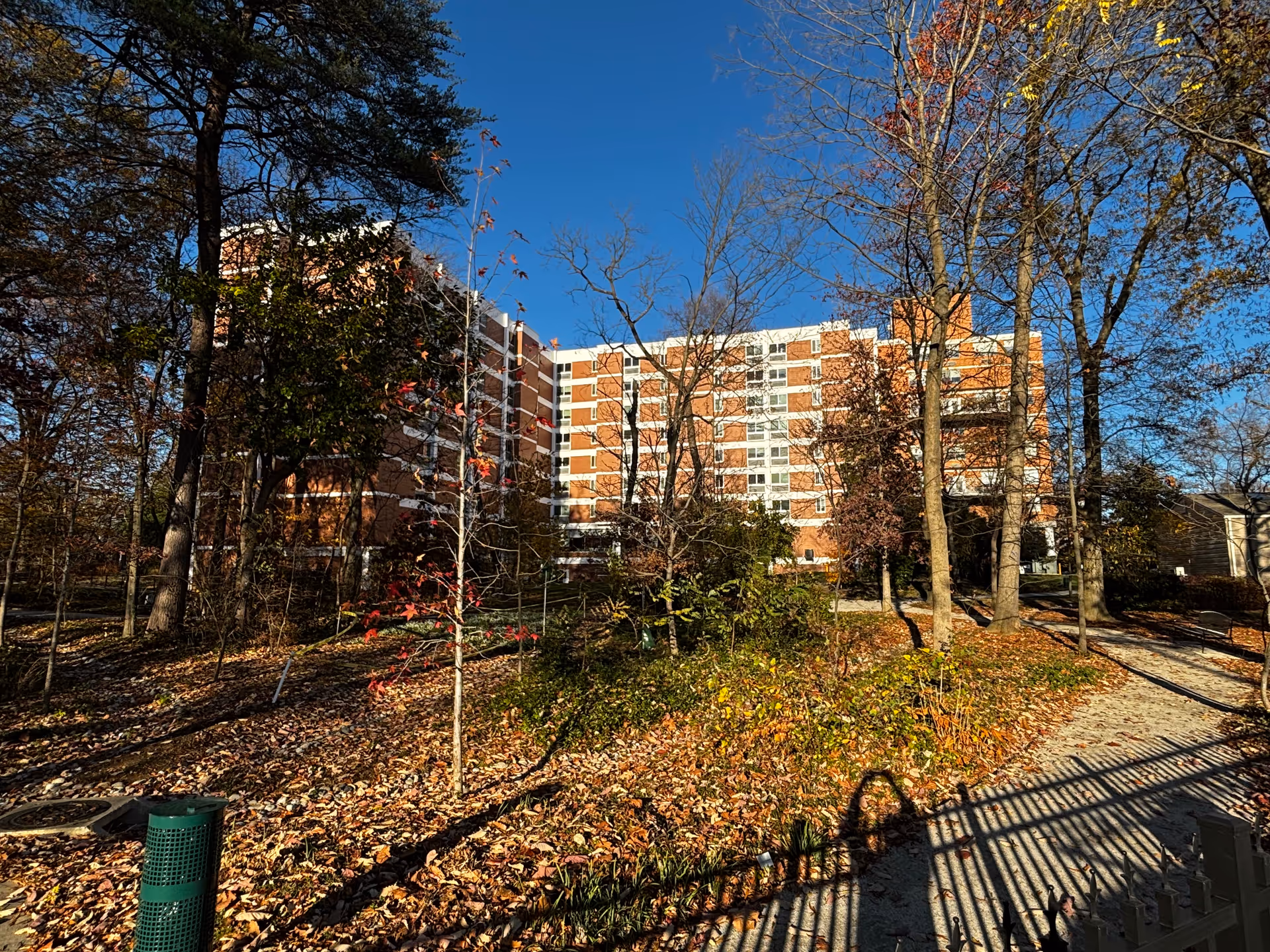 A multi-story brick building partially obscured by trees with autumn leaves on the ground and a clear blue sky above. A pathway and a green trash can are visible in the foreground.