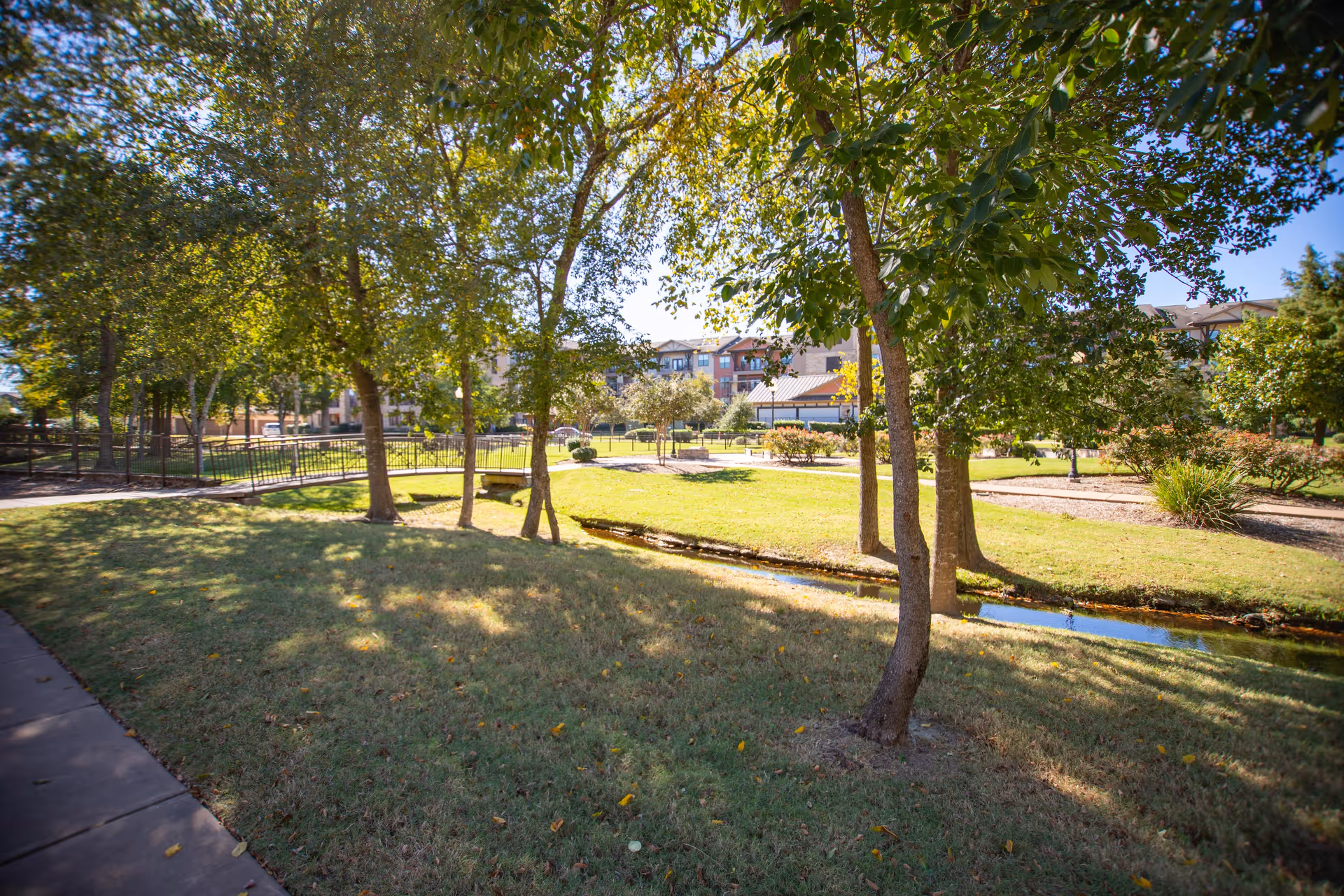 A sunny outdoor garden area with green grass, several trees casting shadows, a small creek running through the middle, and a paved walkway on the left side. In the background, there is a multi-story building partially visible behind the trees.