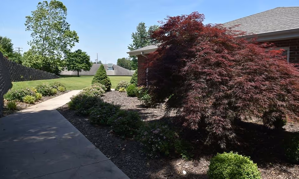 A paved walkway beside landscaped beds and a red Japanese maple next to a brick building on a sunny day.