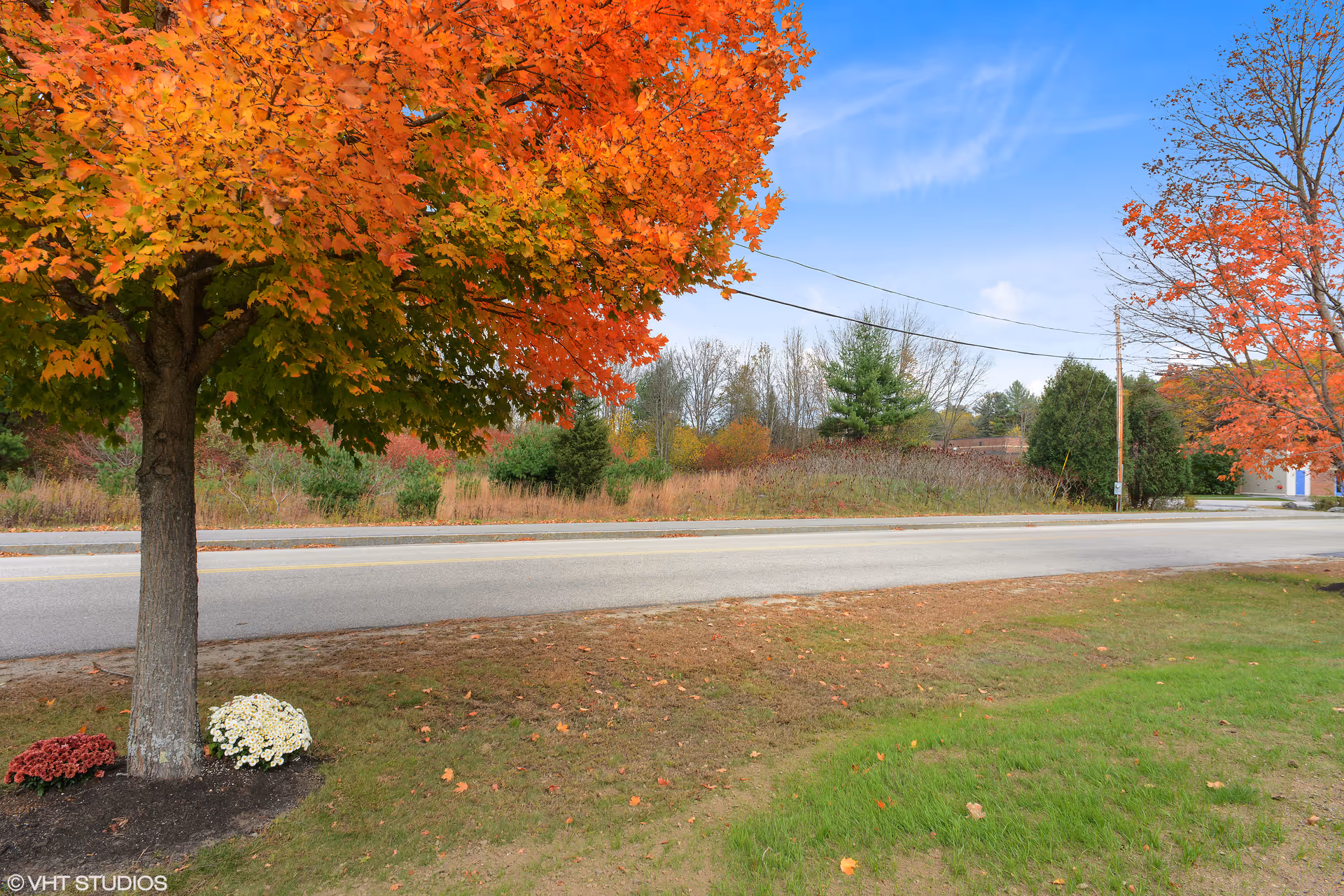 A roadside scene featuring a tree with vibrant orange and red autumn leaves, a patch of grass, and some small flower bushes at the base of the tree. In the background, there are more trees and shrubs with fall foliage under a partly cloudy blue sky.