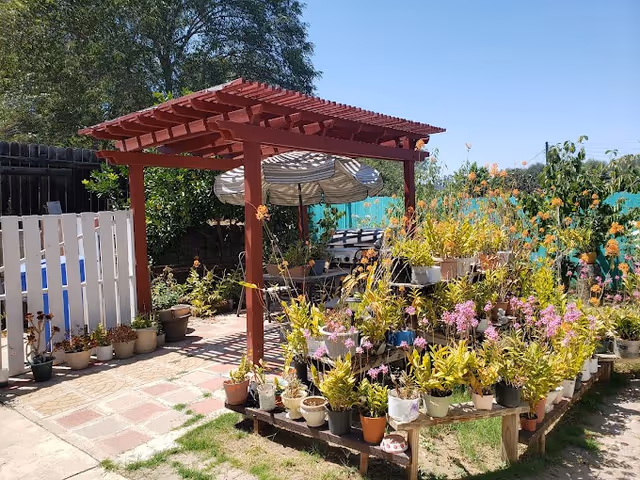 Outdoor garden area with a wooden pergola providing shade over a seating area with a bench and a large umbrella. Numerous potted plants and flowers are arranged on a tiered wooden stand and on the ground around the pergola. A white picket fence and green privacy fence are visible in the background under a clear blue sky.