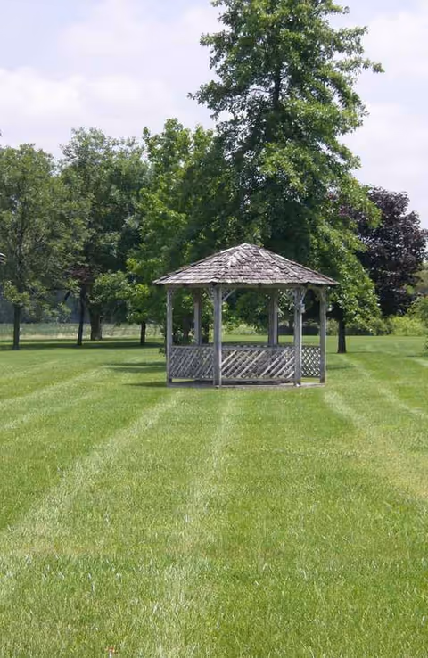 A wooden gazebo stands on a grassy lawn in a park with trees.