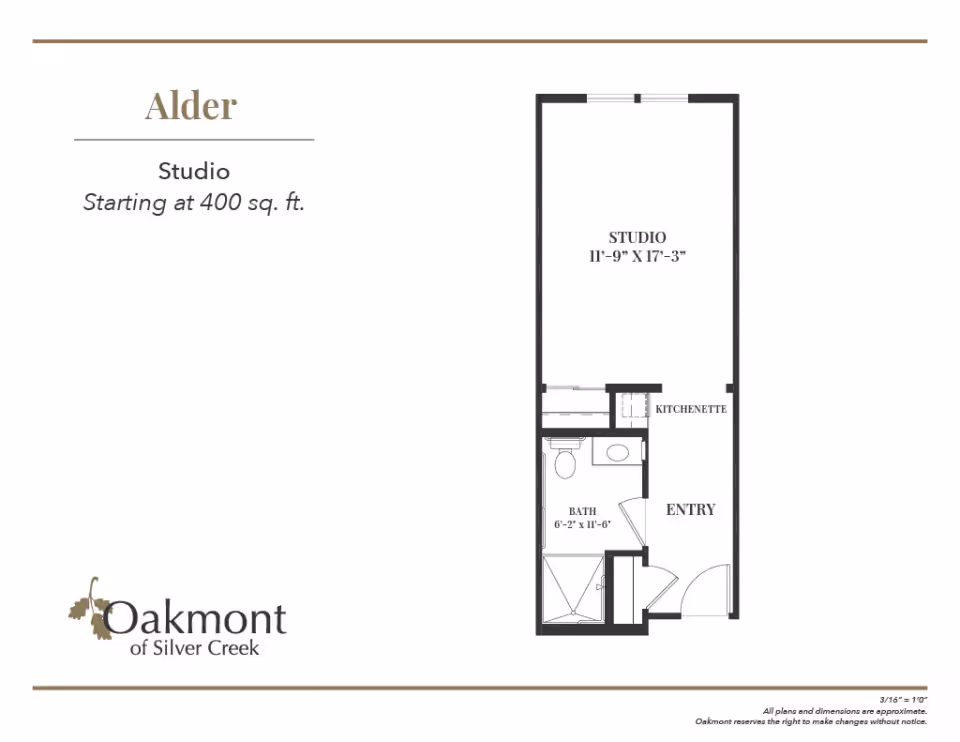 Floor plan of a studio apartment named Alder at Oakmont of Silver Creek, showing a studio room measuring 11 feet 9 inches by 17 feet 3 inches, a kitchenette, an entry area, and a bathroom measuring 6 feet 2 inches by 11 feet 6 inches.