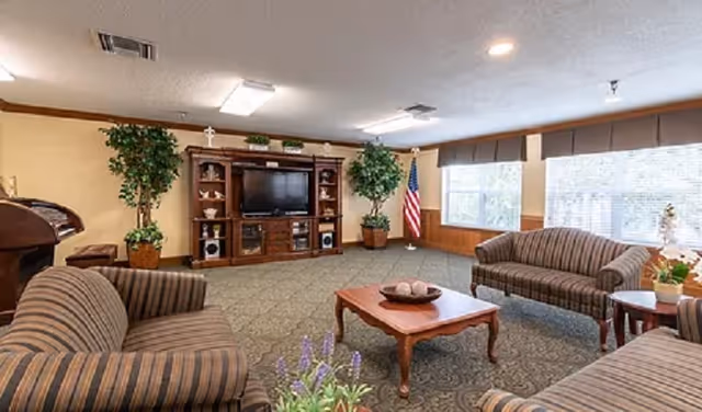 A cozy living room area with three striped sofas arranged around a wooden coffee table. The room features a large wooden entertainment center with a TV, decorative items, and two large potted plants on either side. There are large windows with blinds allowing natural light to fill the space, and an American flag is positioned near the window.