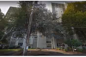 Exterior view of a multi-story residential building partially obscured by tall trees and greenery, with a paved area and some parked vehicles in front.