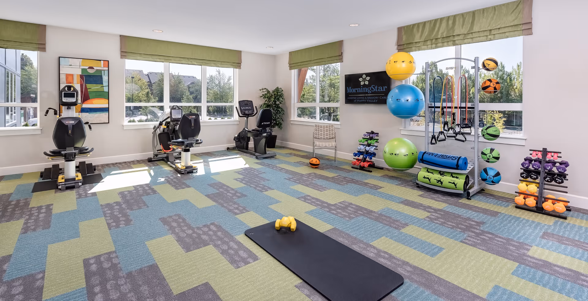 Bright assisted-living fitness room with exercise bikes, a mat, dumbbells and colorful stability balls beneath large windows.
