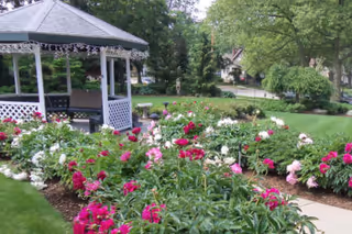 A garden area with a white gazebo surrounded by colorful blooming flowers including pink, white, and red blossoms. There is a green lawn and trees in the background with a sidewalk running alongside the flower beds.