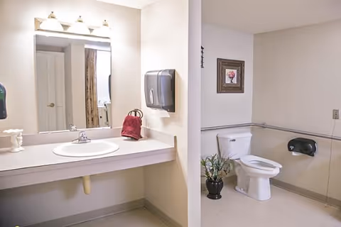 A clean and accessible bathroom with a white sink and countertop on the left, a large mirror above the sink, and a paper towel dispenser mounted on the wall. On the right side, there is a toilet with grab bars on the walls for support, a black toilet paper dispenser, a small potted plant on the floor, and a framed floral picture hanging on the wall.