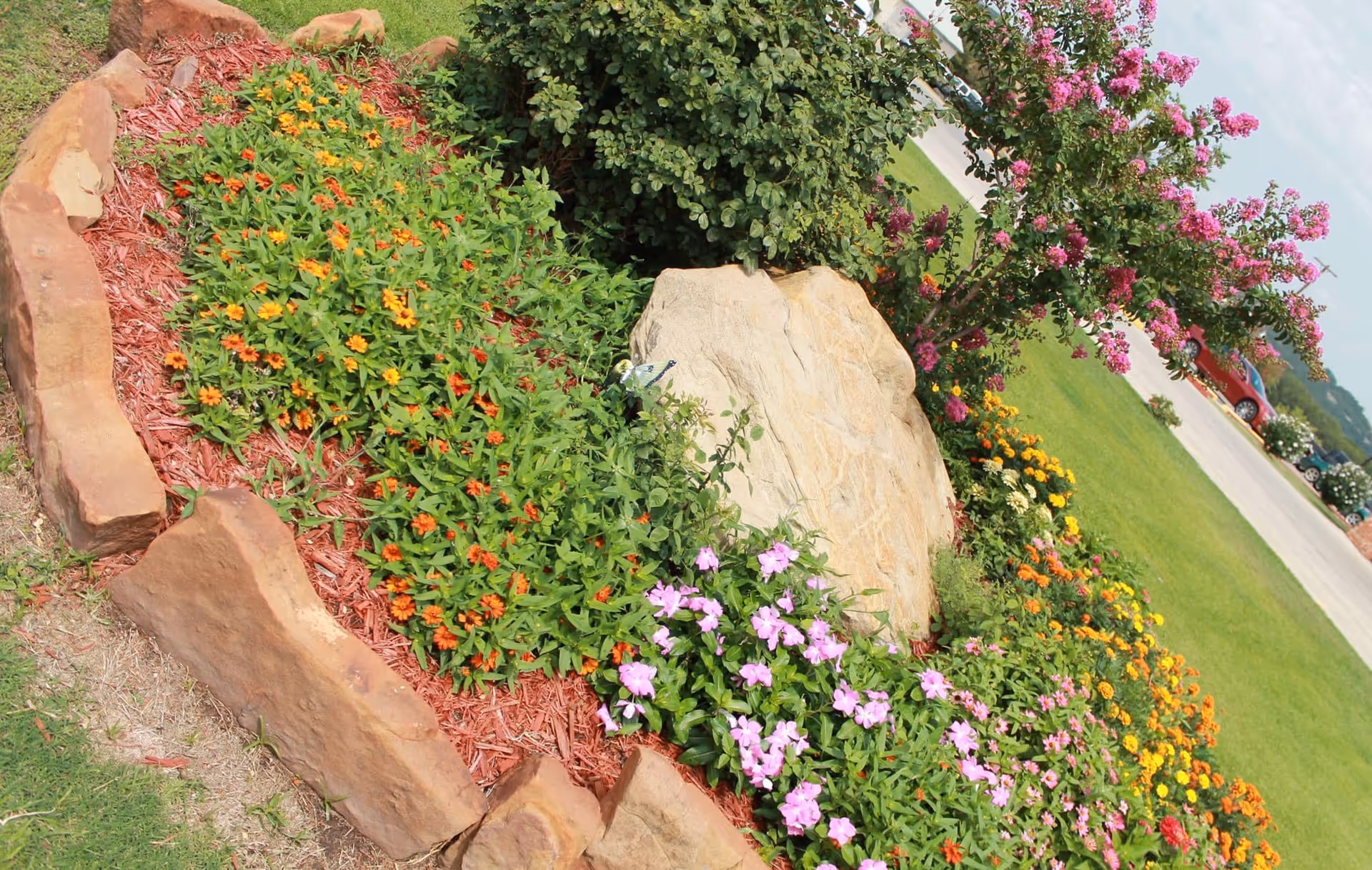 A landscaped garden bed bordered by large stones, filled with various colorful flowers including orange, yellow, and pink blooms, with a large rock and a flowering tree in the background. A grassy lawn and a parking area with cars are visible beyond the garden.