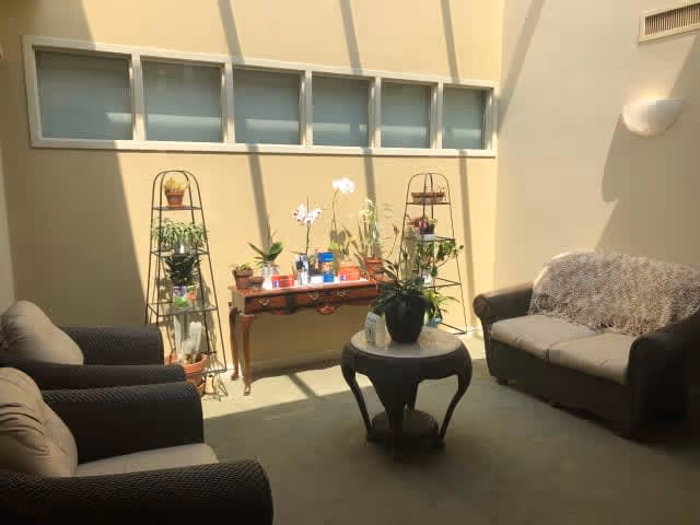 A cozy living room area with two armchairs and a sofa, all upholstered in dark fabric. A small round table with a potted plant is in the center. Against the wall is a wooden console table with various potted plants and decorative items. The room is softly lit by natural light coming through a row of high windows near the ceiling.