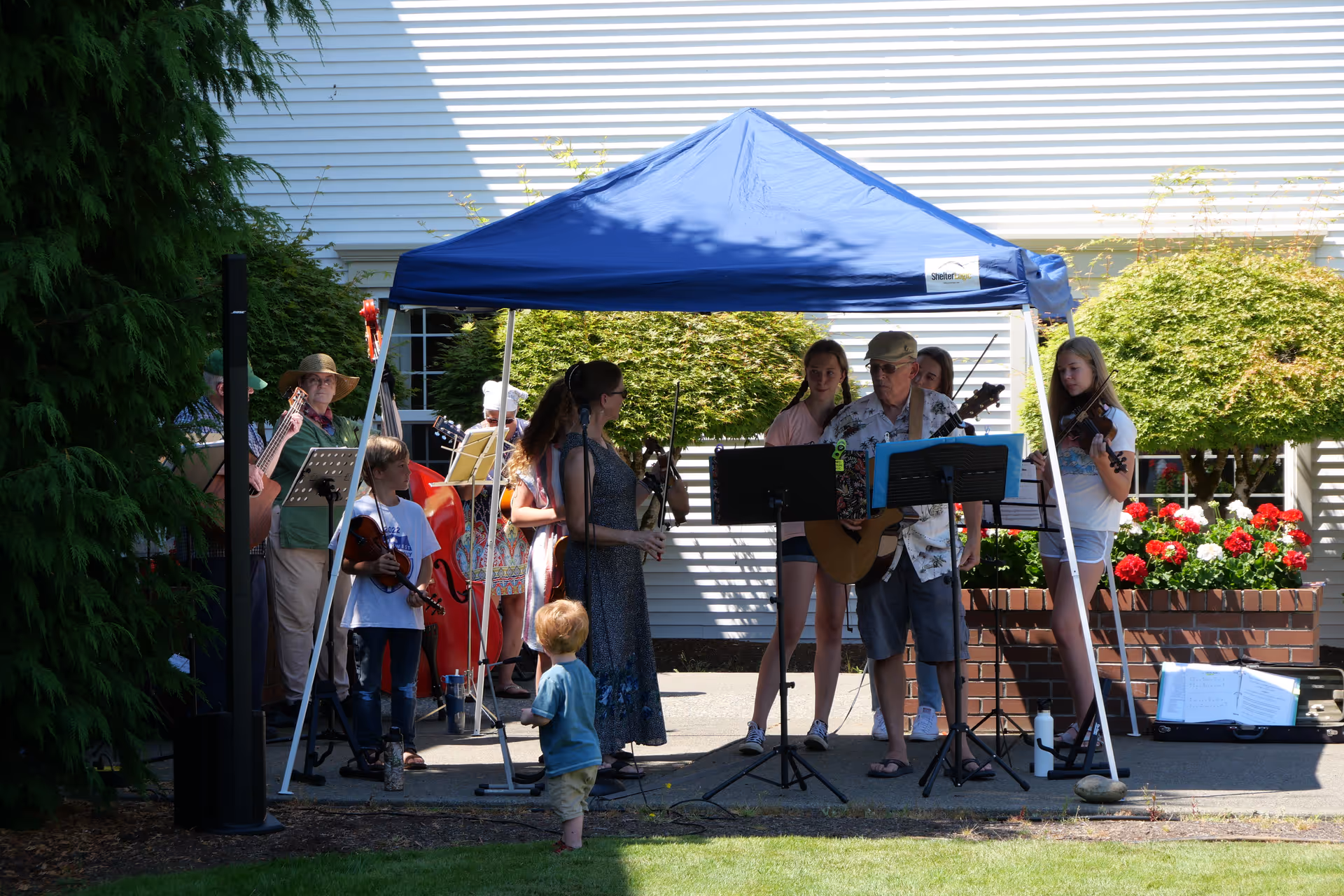 A small group of musicians, adults and children, playing instruments under a blue pop-up canopy outside a building with flowerbeds.