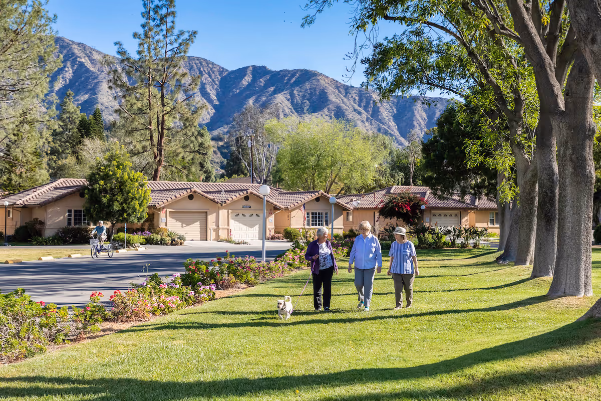 Three elderly women walking on a grassy area with a small dog on a leash, with a row of single-story houses and mountains in the background under a clear blue sky.