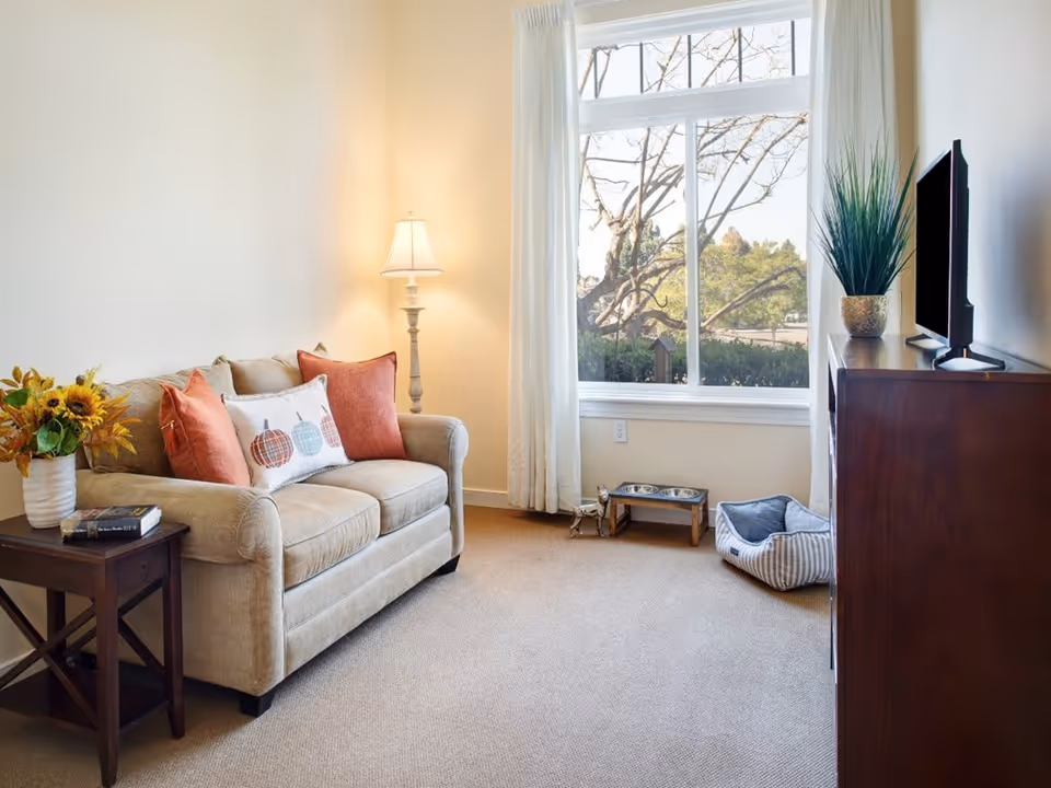 A cozy living room with a beige loveseat adorned with three decorative pillows, a floor lamp in the corner, a wooden side table with a vase of sunflowers and books, a large window with white curtains showing trees outside, a wooden TV stand with a flat-screen TV and a potted plant, and a pet bed with food and water bowls on the floor.