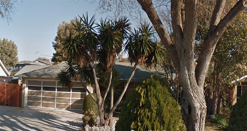 Single-story house with a two-car garage partially obscured by palm-like trees and shrubs.