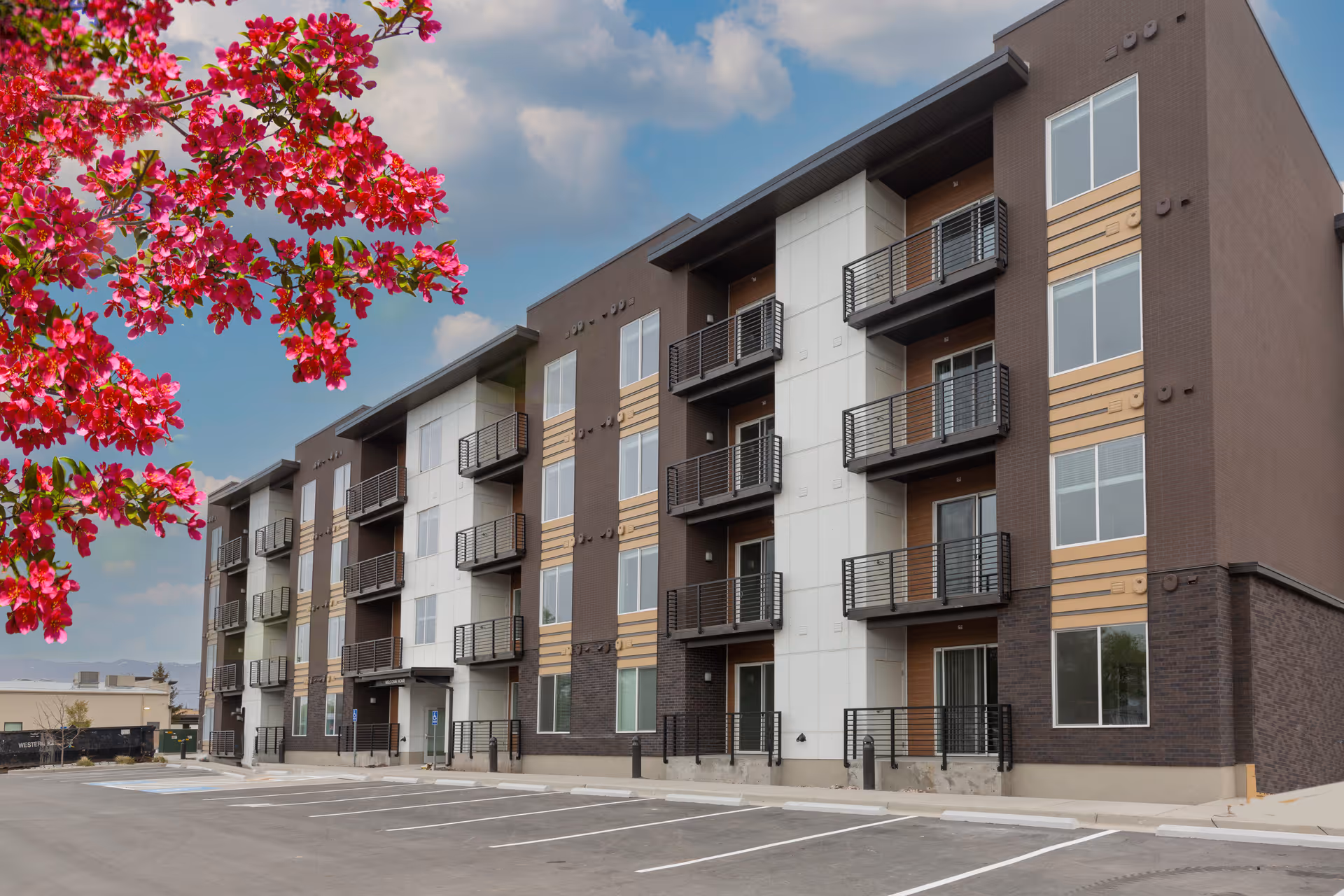 Exterior front view of a modern four-story senior living apartment building with balconies, an empty parking lot, and pink flowering tree branches in the foreground.