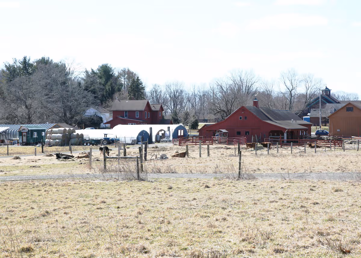 Rural farm scene with red barns, fenced pastures, hay bales and grazing cattle under a pale sky.