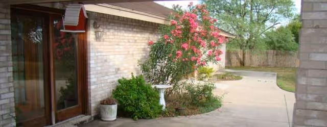 Brick facade of entryway with flowering shrub, birdbath, and potted plants along walkway.
