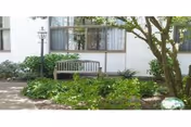 Outdoor garden area with green plants and bushes, a wooden bench, a lamp post, and a tree in front of a white building with windows.
