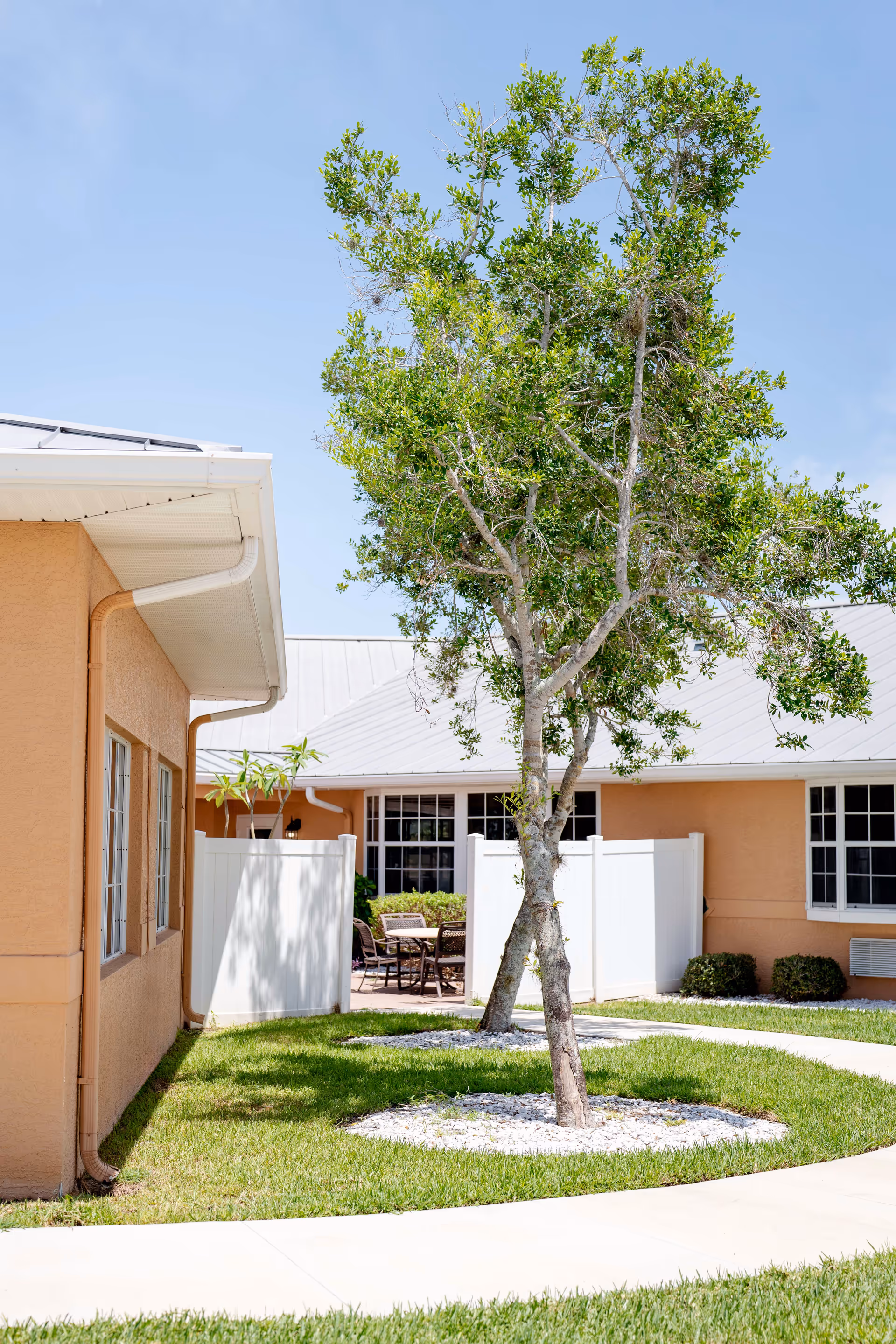 Outdoor courtyard area at Barrington Terrace of Fort Myers featuring a tree planted in a circular bed with white stones, surrounded by green grass and a curved concrete pathway. The background shows peach-colored building walls with windows and a white fence enclosing a patio with outdoor furniture.